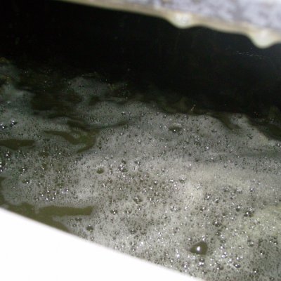 Domaine Pastou , la fermentation